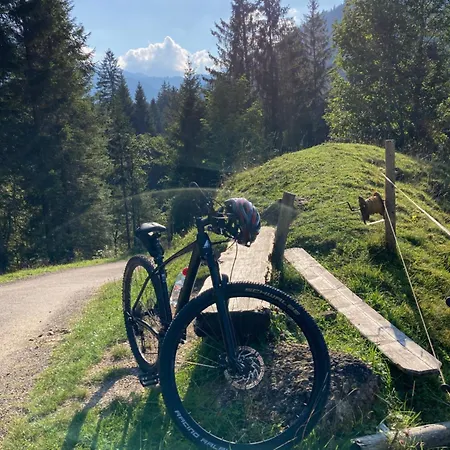 Alternative Zur Junior-suite Immenstadt im Allgäu