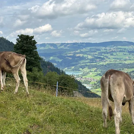 Alternative Zur Junior-suite * Immenstadt im Allgäu